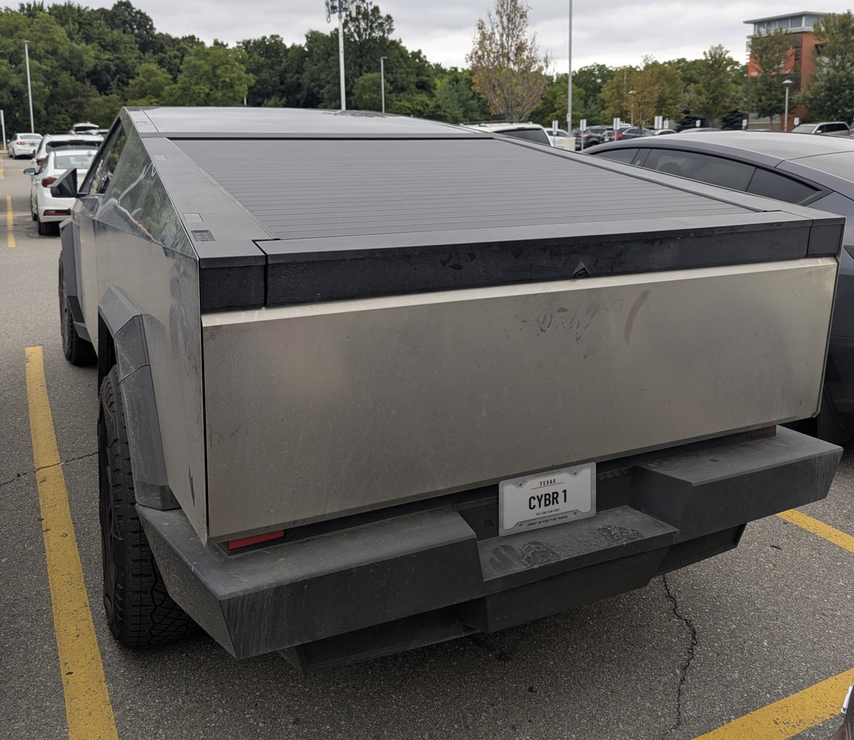 Paint Is For The Weak CTO Brushed Metal License Plate Frame — "Paint Is For The Weak"